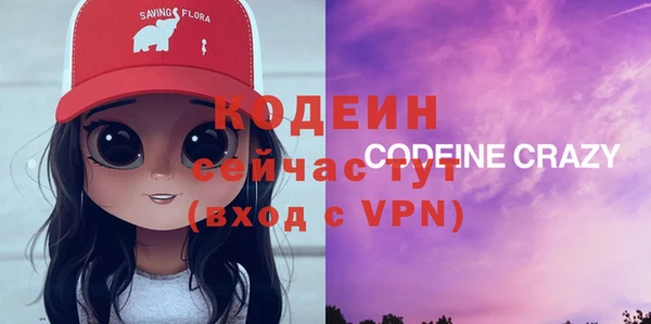 меф Ельня