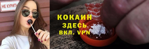 меф Ельня