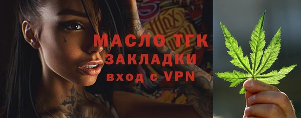 меф Ельня