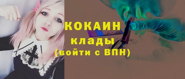 меф Ельня