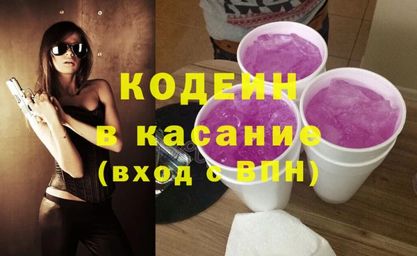 меф Ельня
