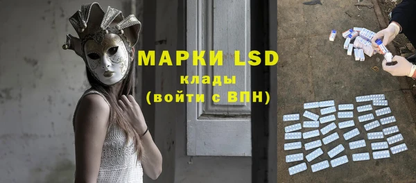 меф Ельня
